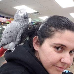 Meet your Posher, Jeanette